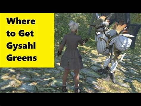 ff14 gysahl greens where to buy|More.